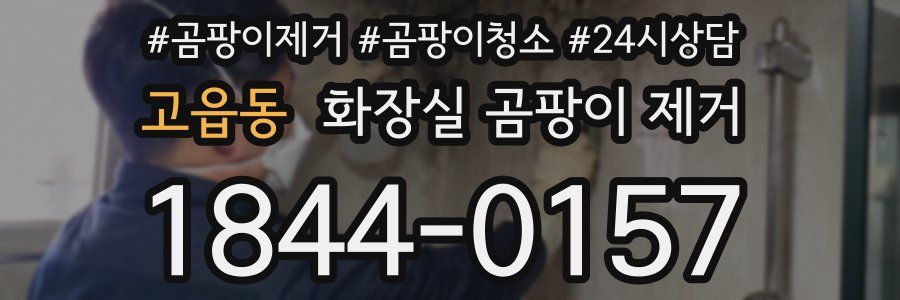 고읍동 화장실 곰팡이 제거