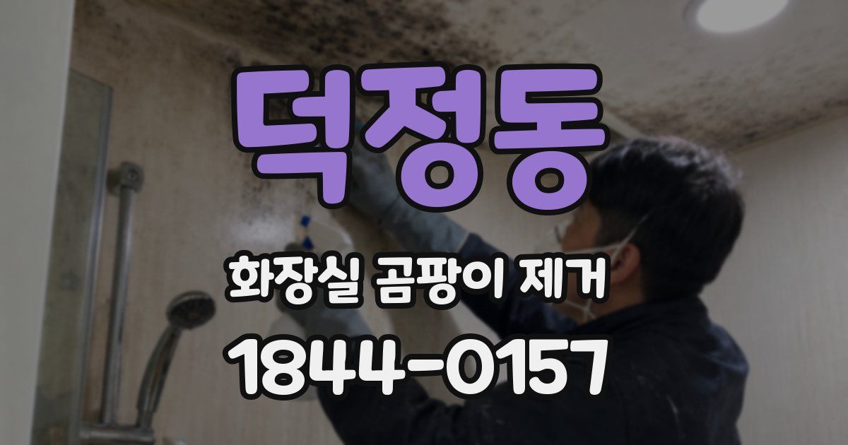 덕정동 화장실 곰팡이 제거