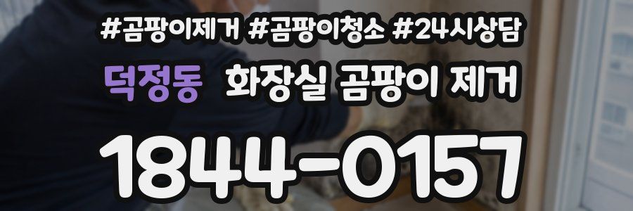 덕정동 화장실 곰팡이 제거