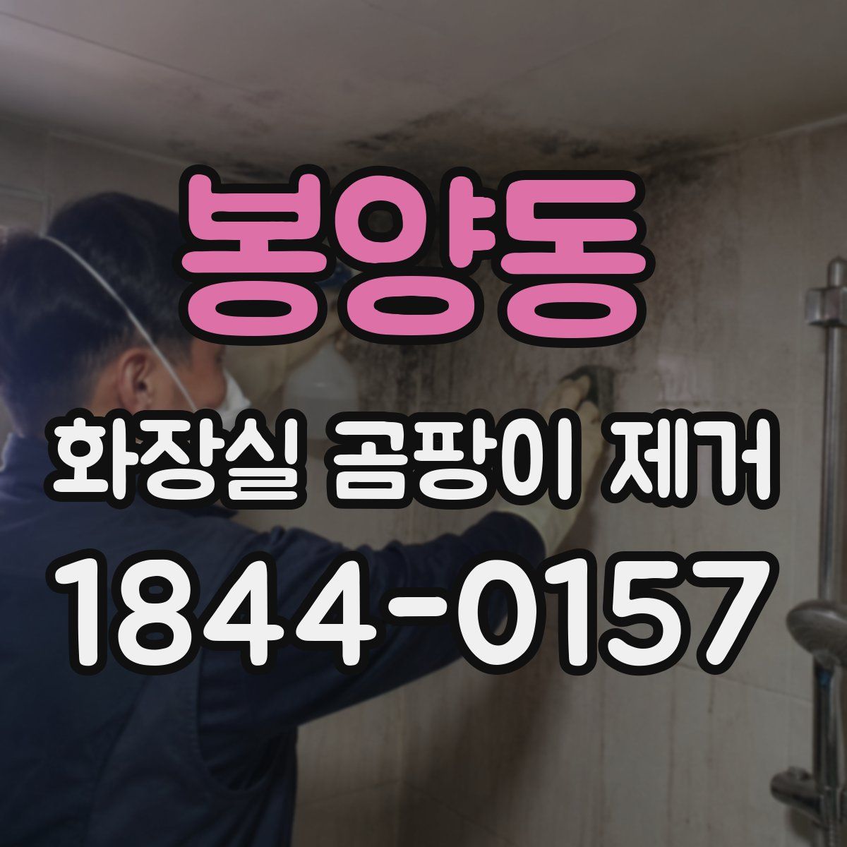 봉양동 화장실 곰팡이 제거