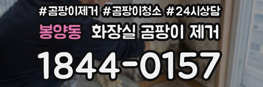 봉양동 화장실 곰팡이 제거