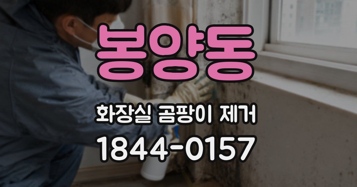봉양동 화장실 곰팡이 제거