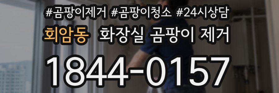 회암동 화장실 곰팡이 제거