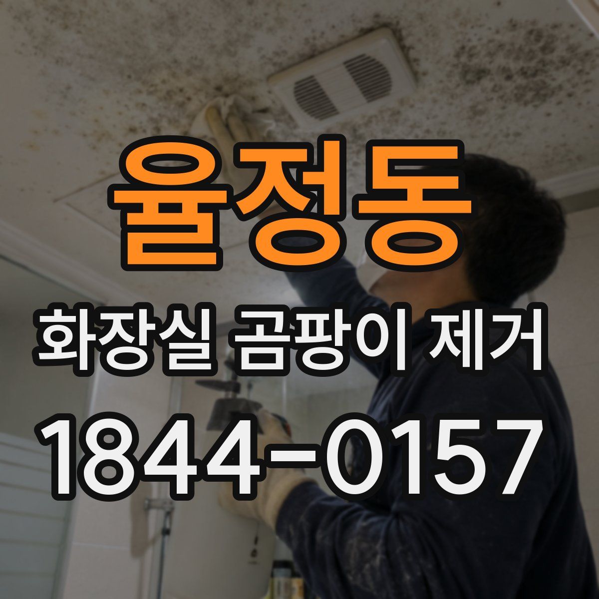 율정동 화장실 곰팡이 제거