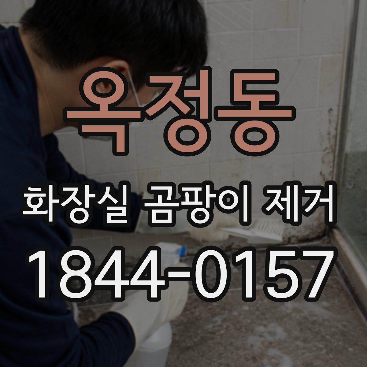 옥정동 화장실 곰팡이 제거