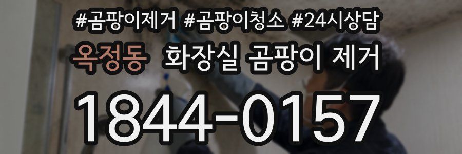 옥정동 화장실 곰팡이 제거