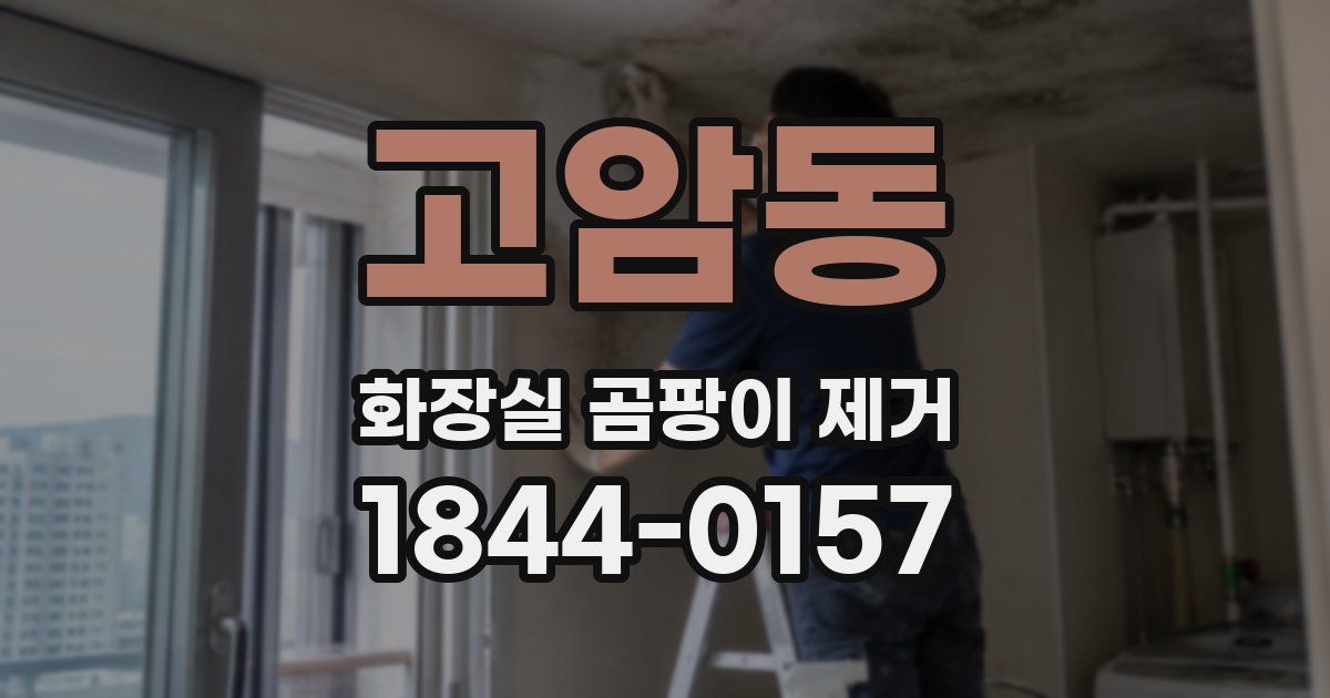 고암동 화장실 곰팡이 제거