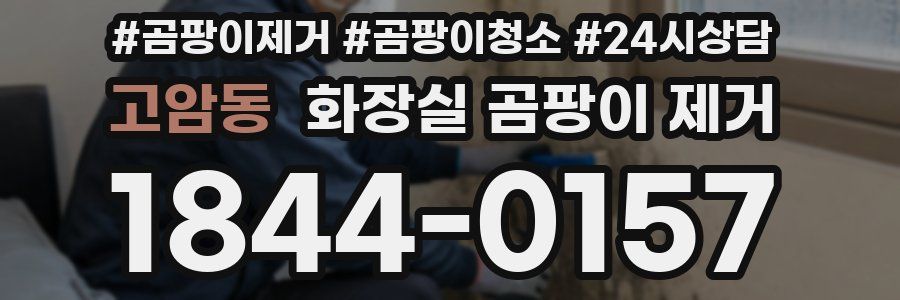 고암동 화장실 곰팡이 제거