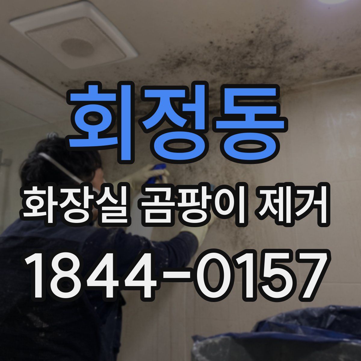 회정동 화장실 곰팡이 제거