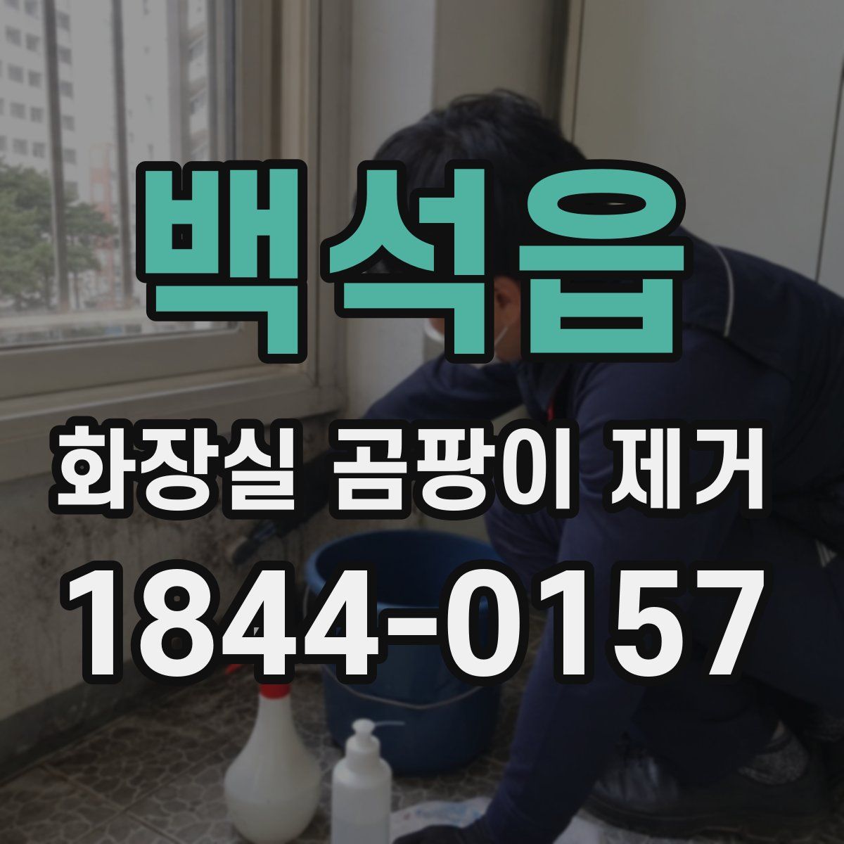 백석읍 화장실 곰팡이 제거
