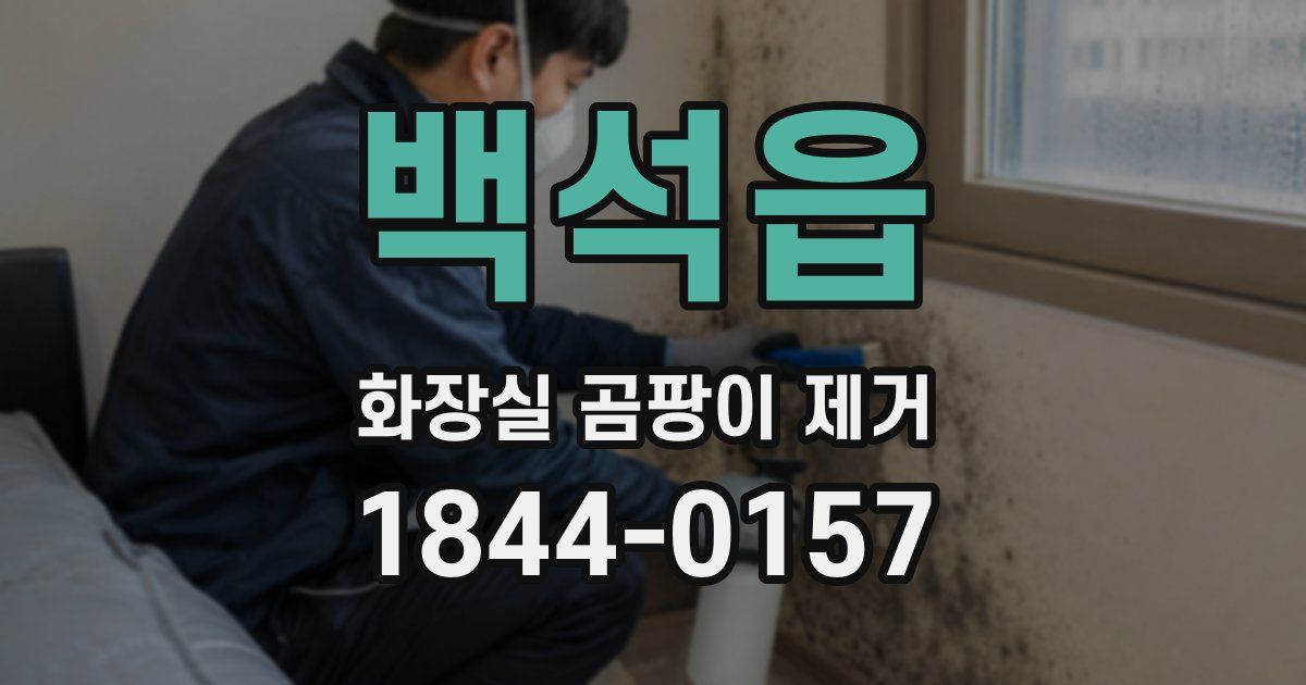 백석읍 화장실 곰팡이 제거