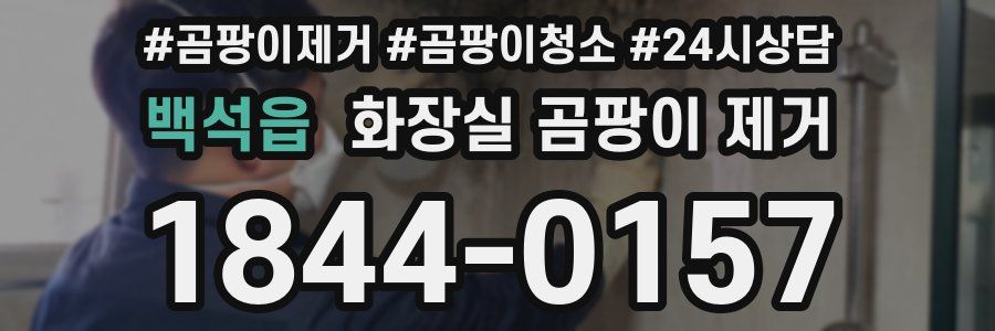 백석읍 화장실 곰팡이 제거