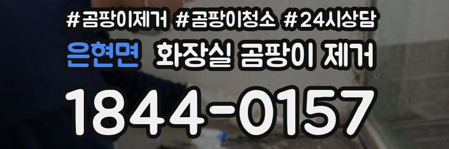 은현면 화장실 곰팡이 제거