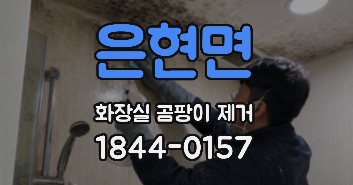 은현면 화장실 곰팡이 제거