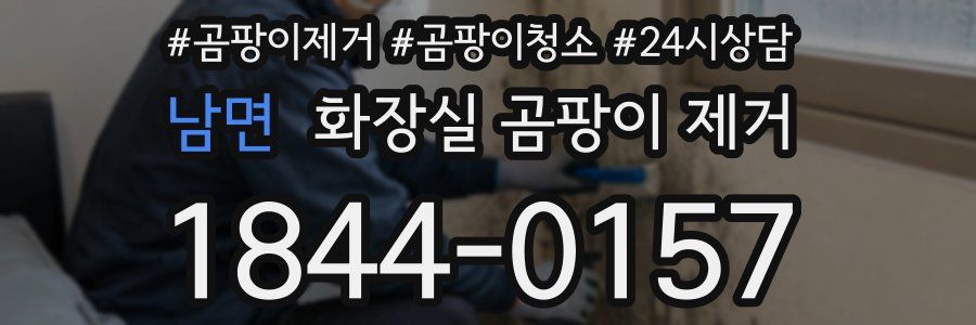 남면 화장실 곰팡이 제거