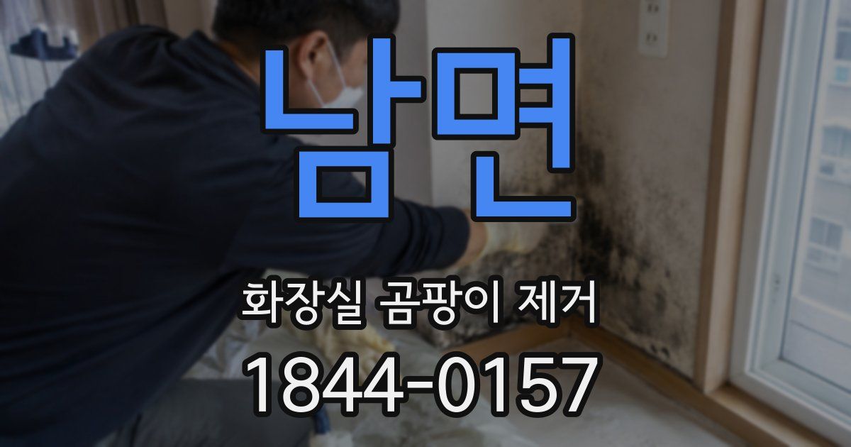 남면 화장실 곰팡이 제거
