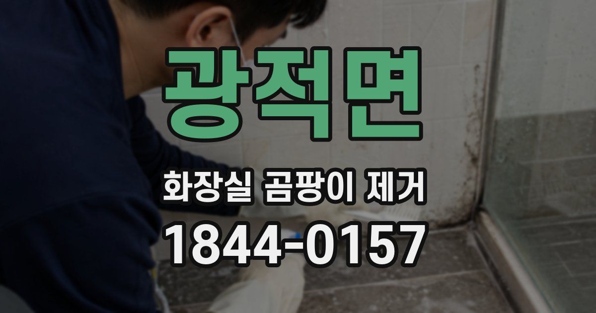 광적면 화장실 곰팡이 제거