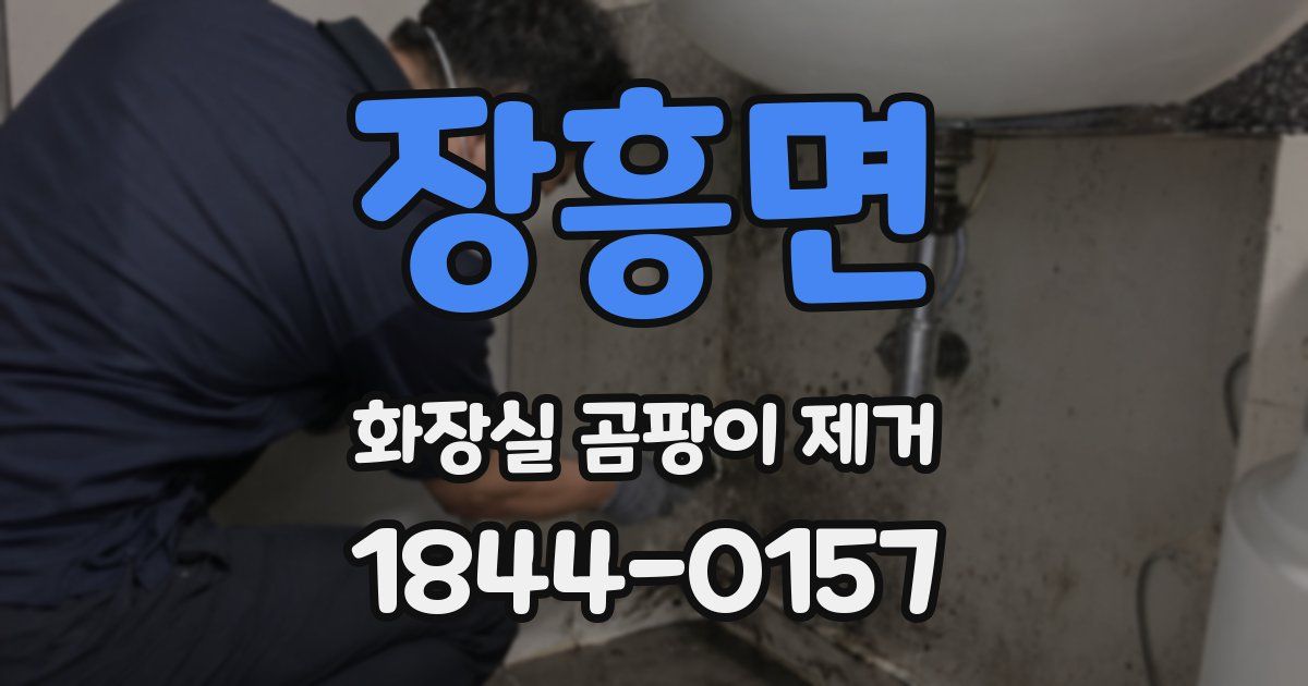 장흥면 화장실 곰팡이 제거