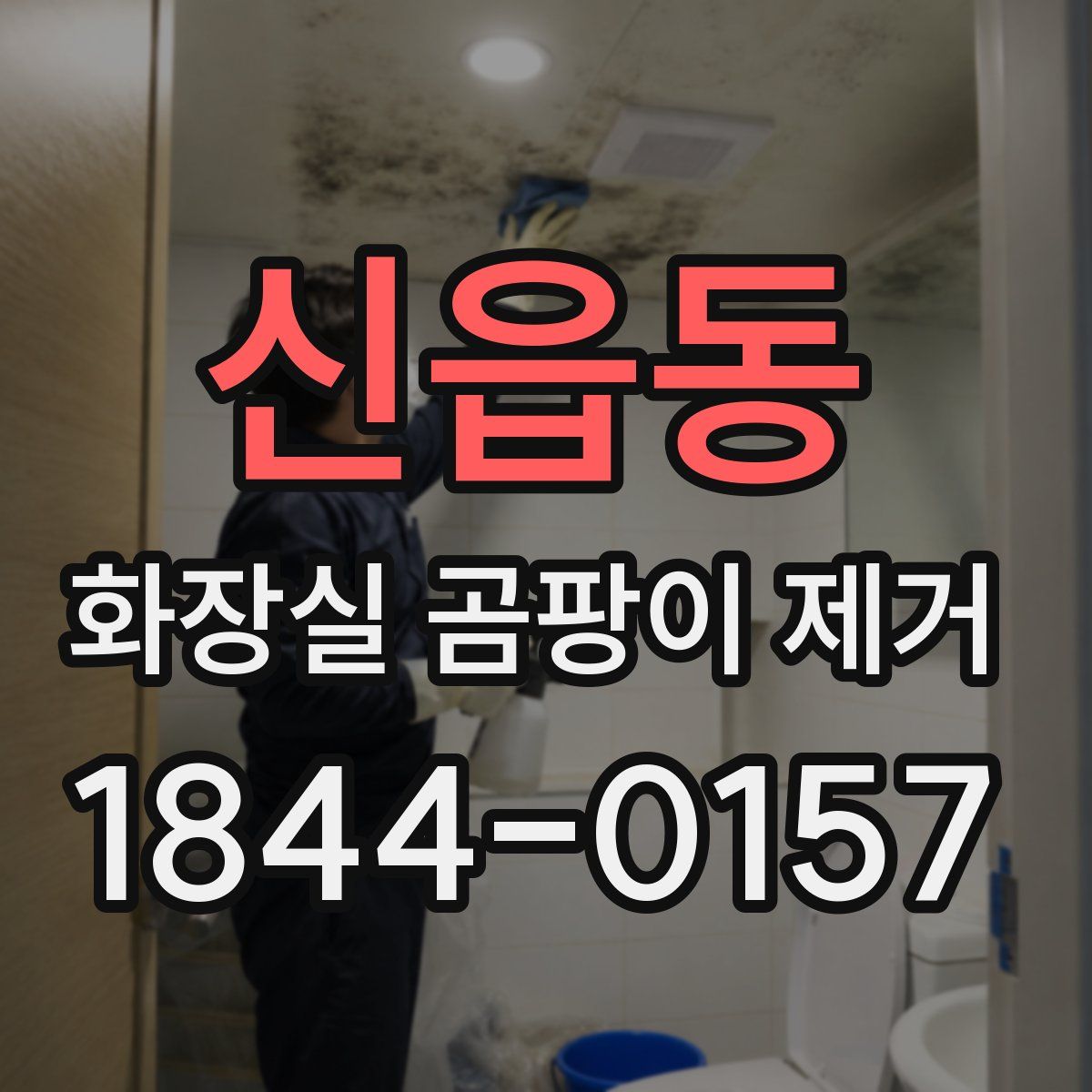 신읍동 화장실 곰팡이 제거