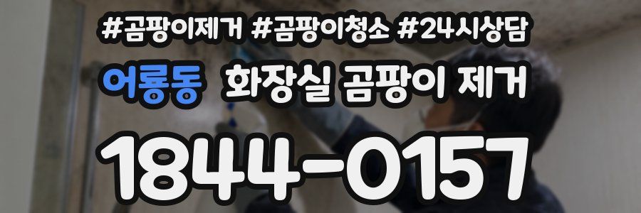 어룡동 화장실 곰팡이 제거
