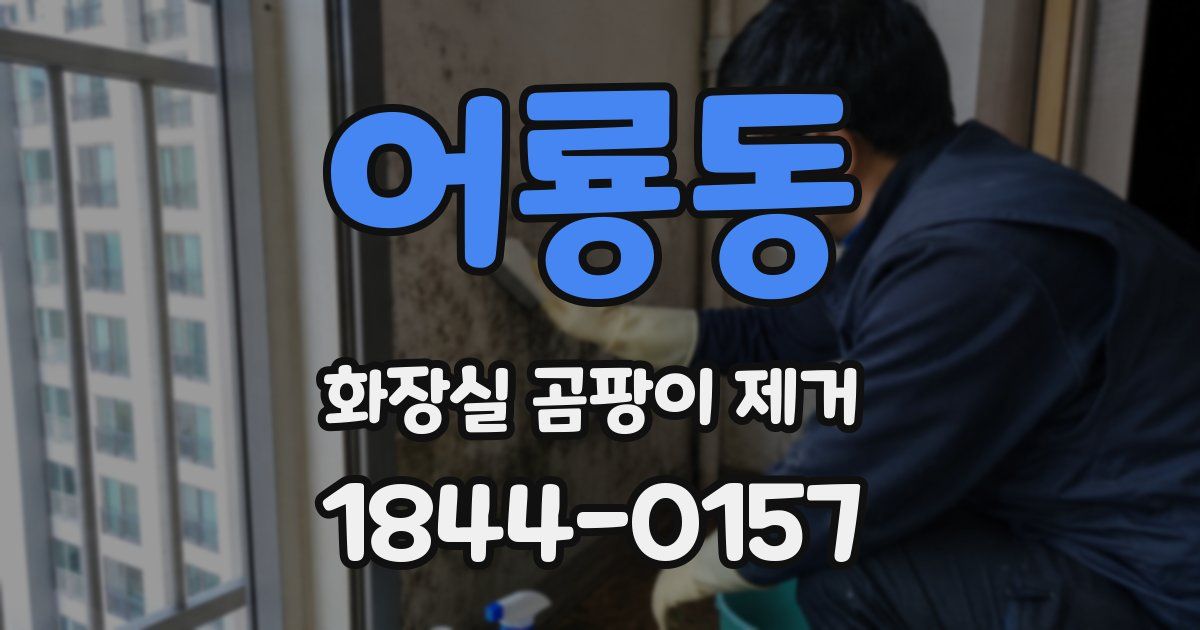 어룡동 화장실 곰팡이 제거