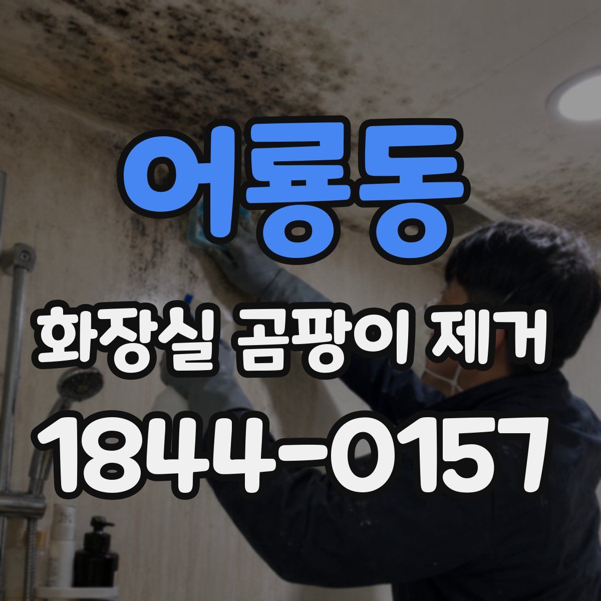 어룡동 화장실 곰팡이 제거