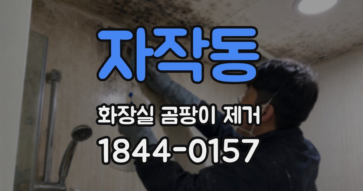 자작동 화장실 곰팡이 제거