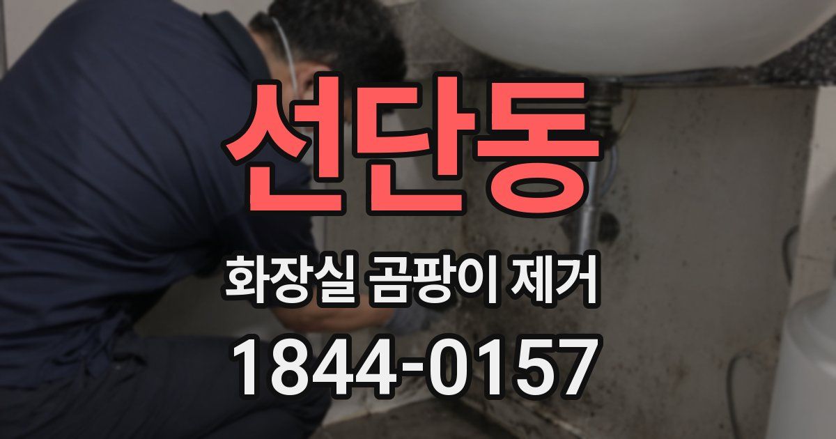 선단동 화장실 곰팡이 제거