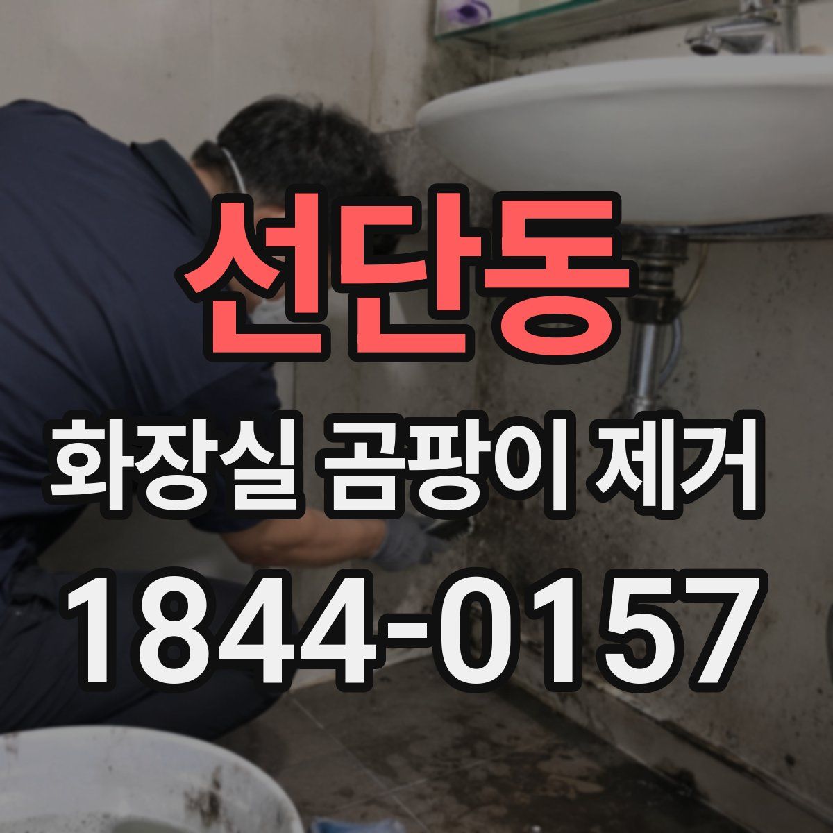 선단동 화장실 곰팡이 제거