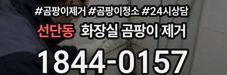 선단동 화장실 곰팡이 제거