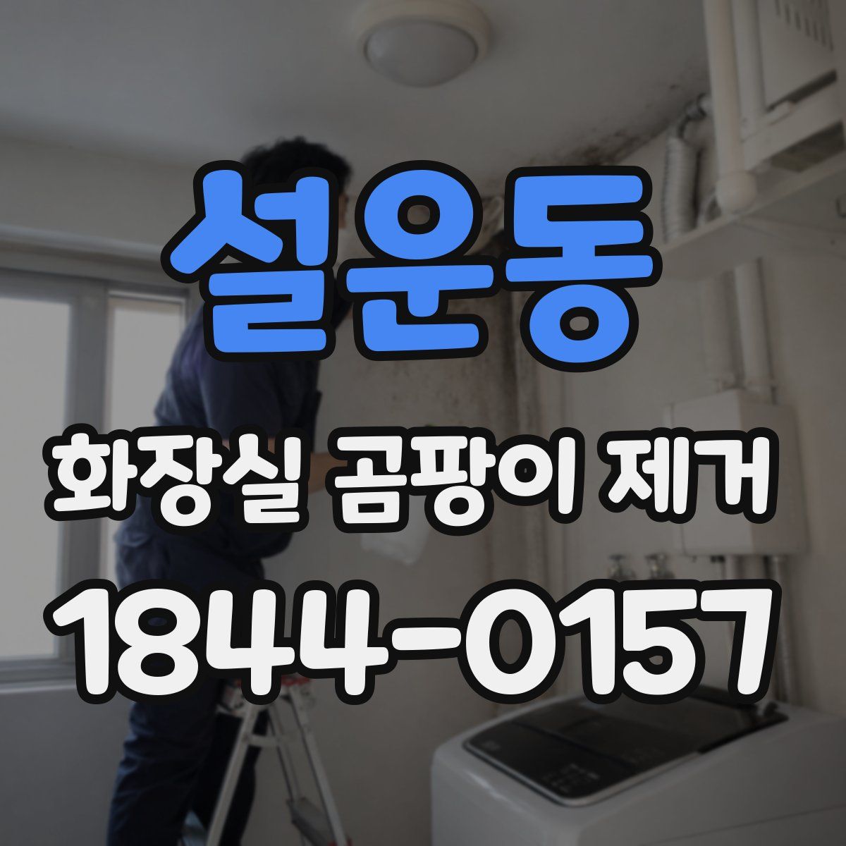 설운동 화장실 곰팡이 제거