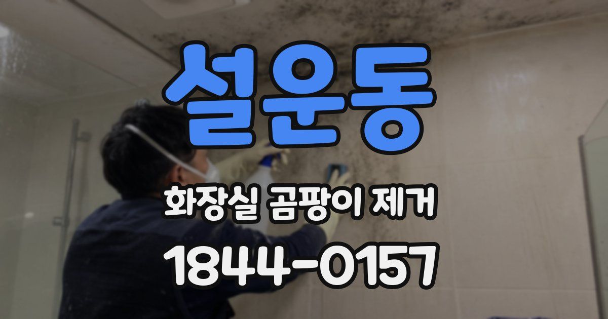 설운동 화장실 곰팡이 제거