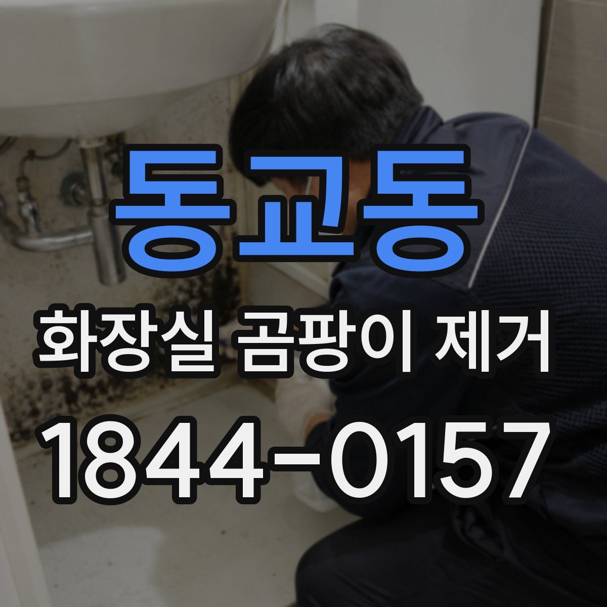 동교동 화장실 곰팡이 제거