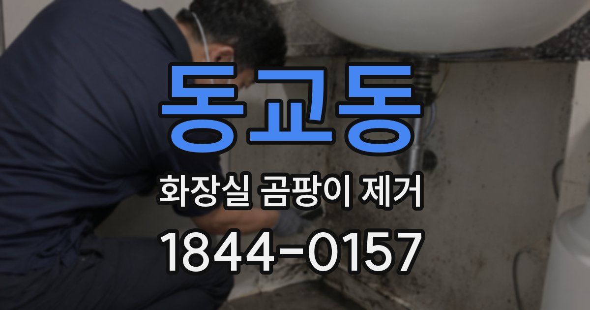 동교동 화장실 곰팡이 제거