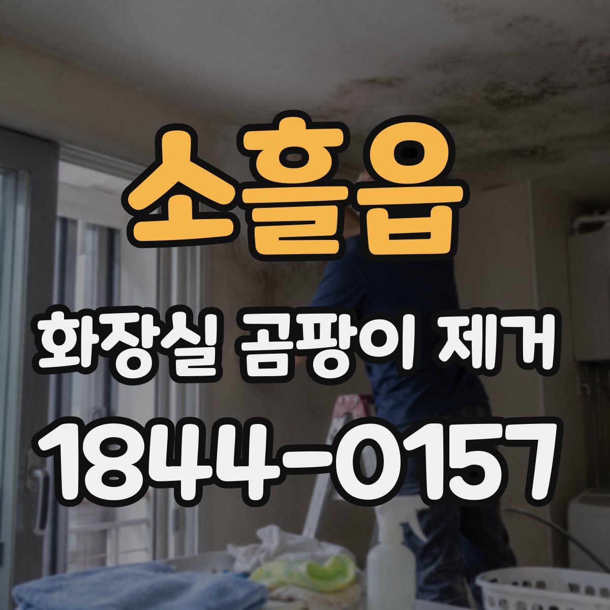 소흘읍 화장실 곰팡이 제거