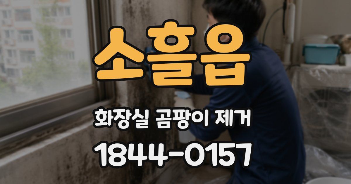 소흘읍 화장실 곰팡이 제거