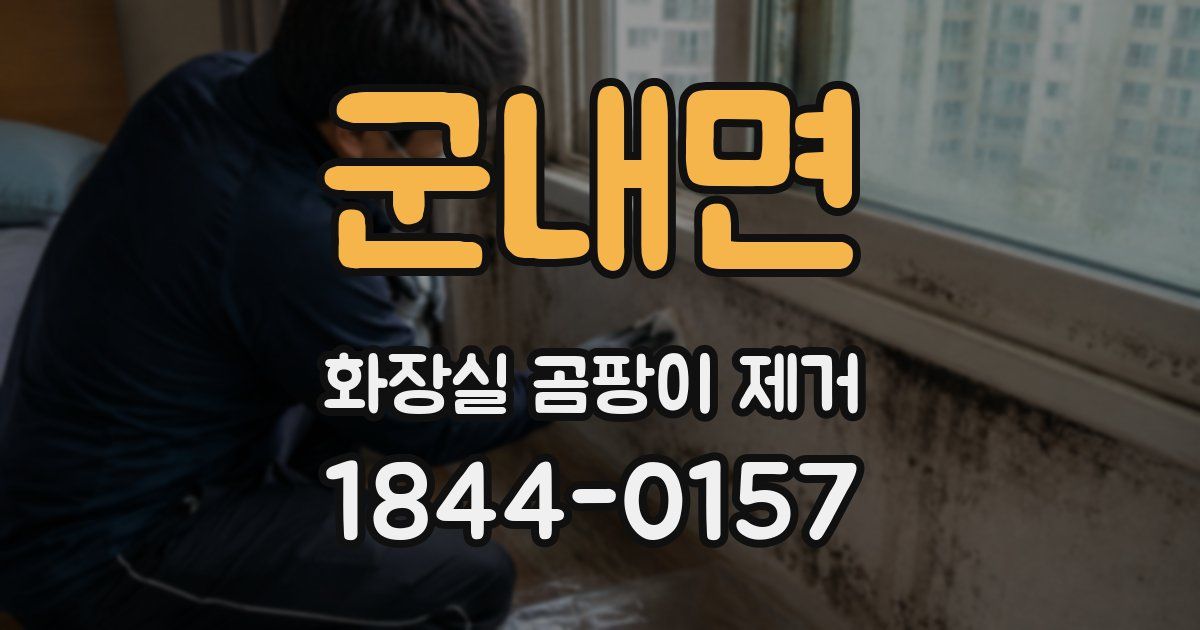 군내면 화장실 곰팡이 제거