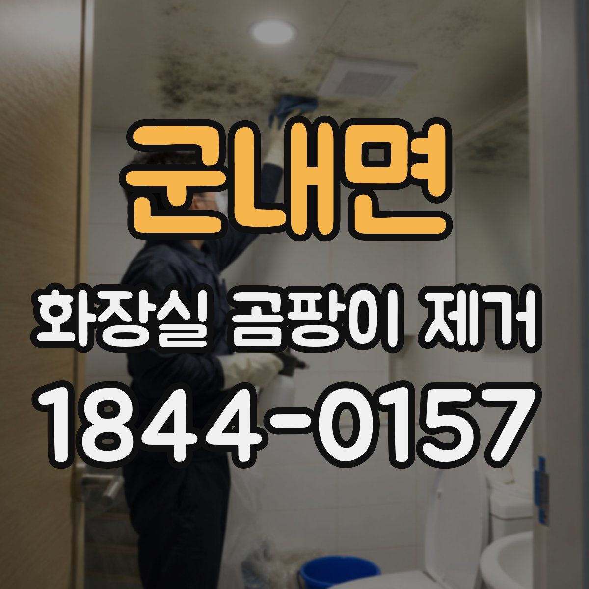 군내면 화장실 곰팡이 제거