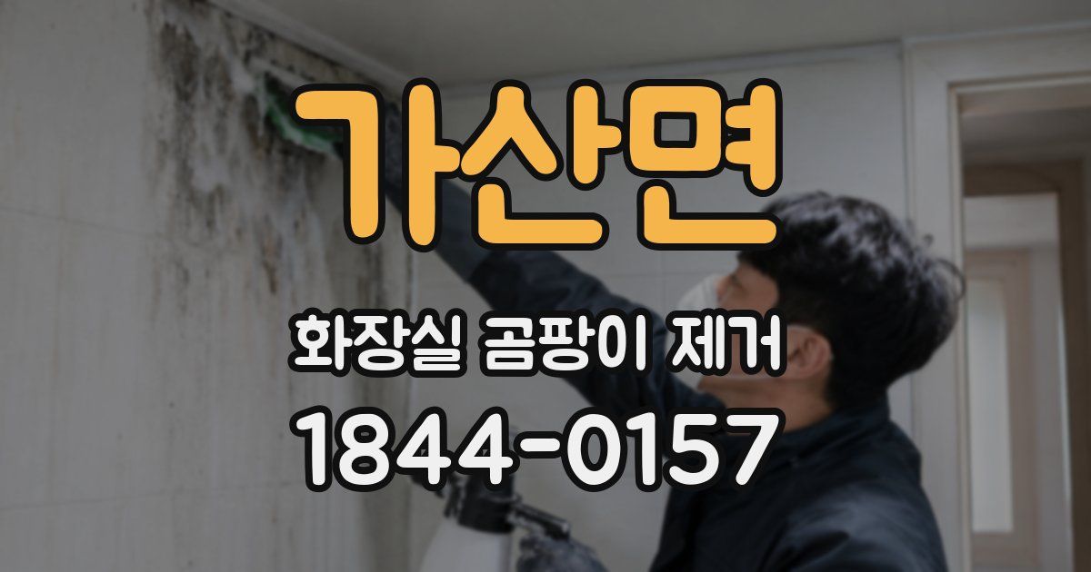 가산면 화장실 곰팡이 제거