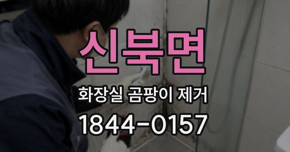 신북면 화장실 곰팡이 제거