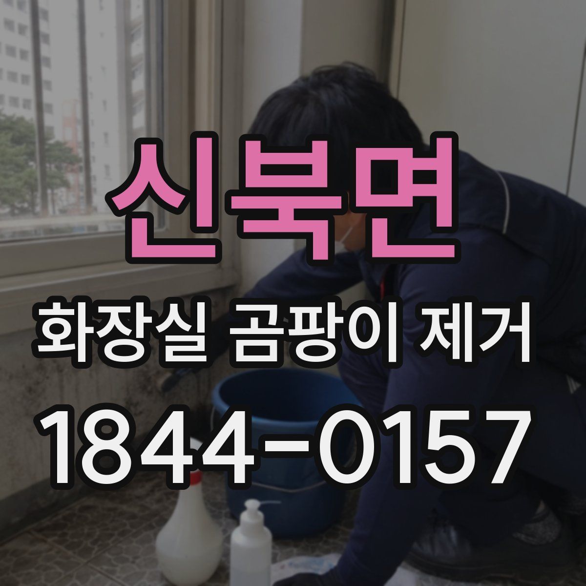 신북면 화장실 곰팡이 제거