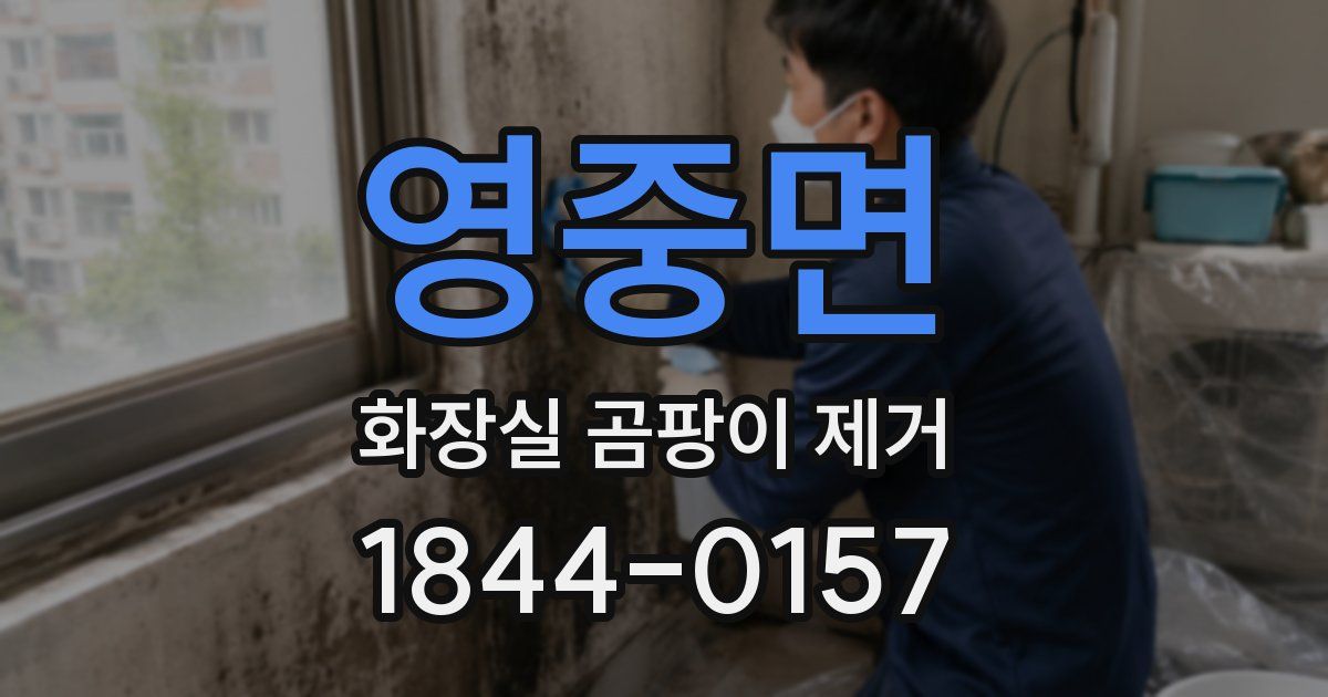 영중면 화장실 곰팡이 제거