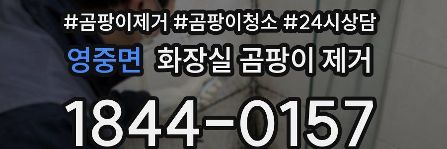영중면 화장실 곰팡이 제거
