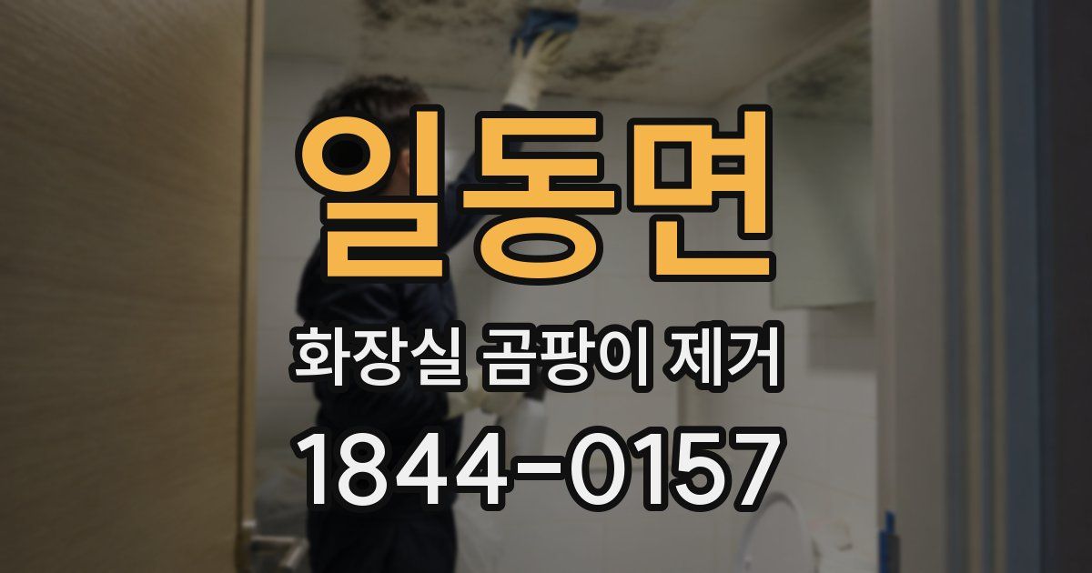 일동면 화장실 곰팡이 제거