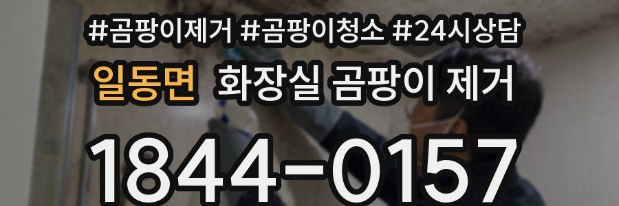 일동면 화장실 곰팡이 제거