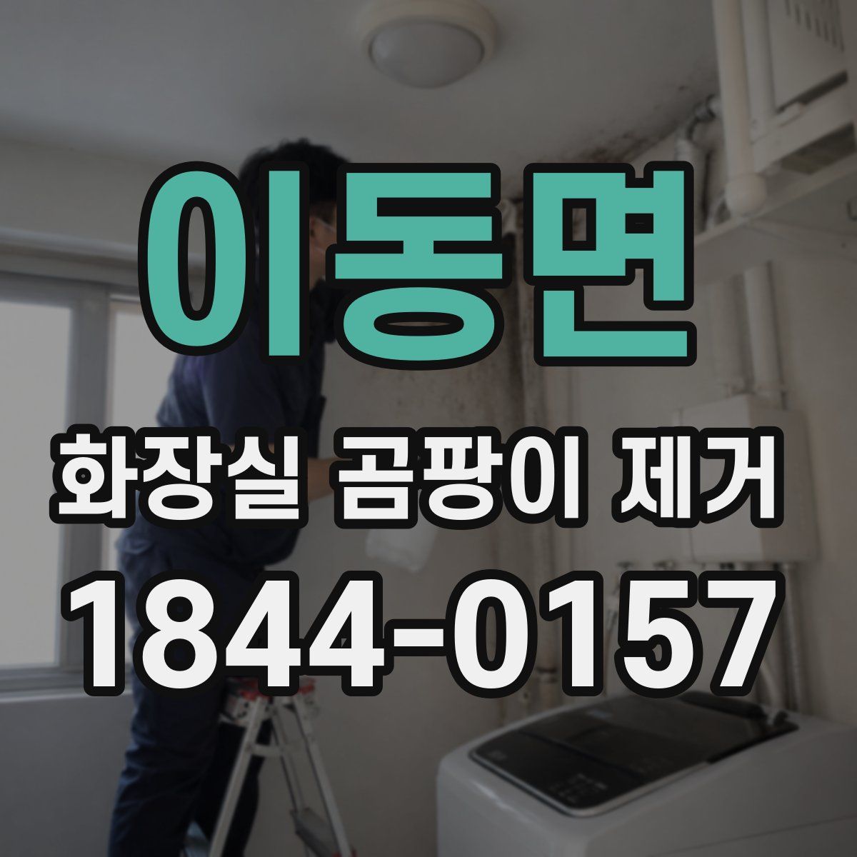이동면 화장실 곰팡이 제거