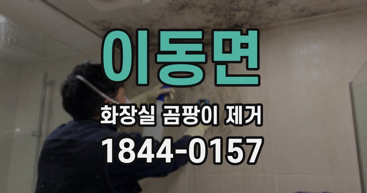 이동면 화장실 곰팡이 제거