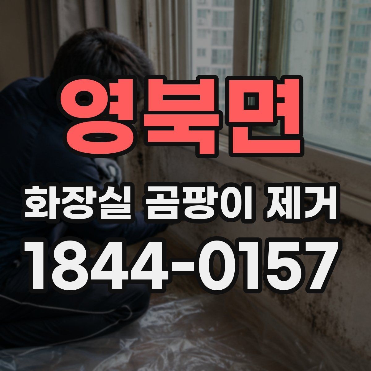 영북면 화장실 곰팡이 제거 환기와 건조 습관으로 재발 줄이기