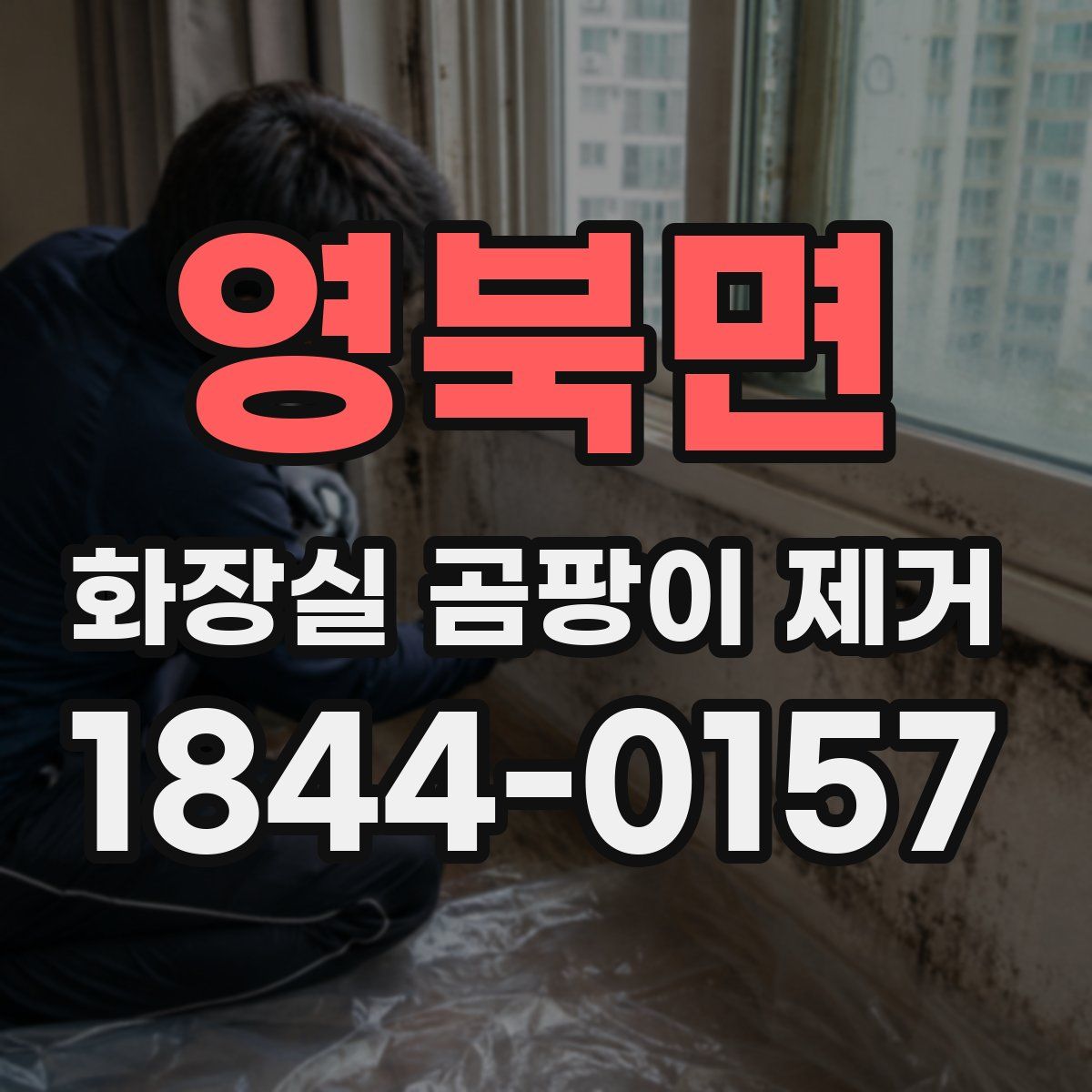 영북면 화장실 곰팡이 제거