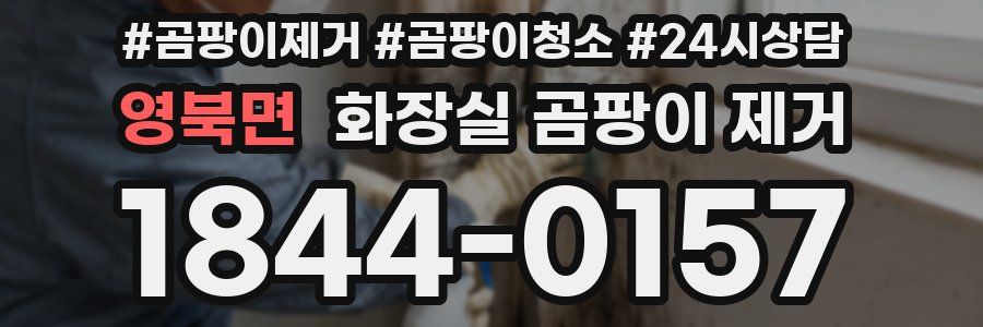 영북면 화장실 곰팡이 제거